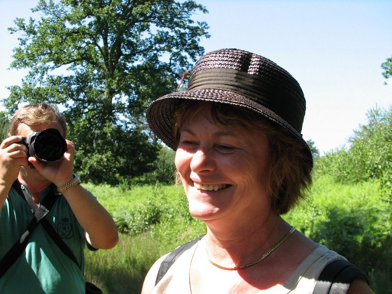 6415 Sympétrum sanguin (mâle)